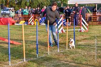 004 AGILITY HERMES - HAPPY -2295 : 2016, 25 Septembre 2016, AGILITY HERMES, HAPPY, Open, TERRIER JACK RUSSELL