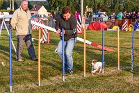 006 AGILITY HERMES - HAPPY -2297 : 2016, 25 Septembre 2016, AGILITY HERMES, HAPPY, Open, TERRIER JACK RUSSELL