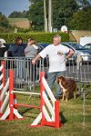 001 AGILITY HERMES -HOPE -3182 : 2016, 25 Septembre 2016, AGILITY HERMES, Dossard 9, HOPE, open+