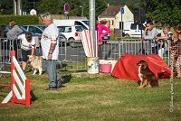 003 AGILITY HERMES -HOPE -3184 : 2016, 25 Septembre 2016, AGILITY HERMES, Dossard 9, HOPE, open+