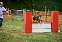 024 AGILITY HERMES -HOPE -4056 : 2016, 25 Septembre 2016, 2ème degré, AGILITY HERMES, Dossard 9, HOPE