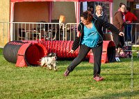 003 AGILITY HERMES -IDEM -2489 : 2016, 25 Septembre 2016, AGILITY HERMES, Catégorie B, Dossard 8, IDEM