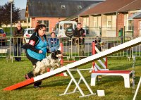 005 AGILITY HERMES -IDEM -2491 : 2016, 25 Septembre 2016, AGILITY HERMES, Catégorie B, Dossard 8, IDEM