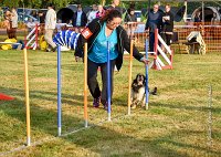 009 AGILITY HERMES -IDEM -2497 : 2016, 25 Septembre 2016, AGILITY HERMES, Catégorie B, Dossard 8, IDEM