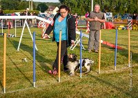 011 AGILITY HERMES -IDEM -2499 : 2016, 25 Septembre 2016, AGILITY HERMES, Catégorie B, Dossard 8, IDEM