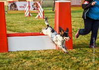 017 AGILITY HERMES -IDEM -2505 : 2016, 25 Septembre 2016, AGILITY HERMES, Catégorie B, Dossard 8, IDEM