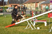 004 AGILITY HERMES -IRVAN -2528 : 2016, 25 Septembre 2016, AGILITY HERMES, Catégorie B, Dossard 45, IRVAN