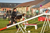 005 AGILITY HERMES -IRVAN -2529 : 2016, 25 Septembre 2016, AGILITY HERMES, Catégorie B, Dossard 45, IRVAN