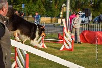 006 AGILITY HERMES -IRVAN -2530 : 2016, 25 Septembre 2016, AGILITY HERMES, Catégorie B, Dossard 45, IRVAN