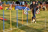 007 AGILITY HERMES -IRVAN -2531 : 2016, 25 Septembre 2016, AGILITY HERMES, Catégorie B, Dossard 45, IRVAN