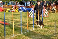 008 AGILITY HERMES -IRVAN -2532 : 2016, 25 Septembre 2016, AGILITY HERMES, Catégorie B, Dossard 45, IRVAN