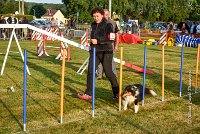 009 AGILITY HERMES -IRVAN -2534 : 2016, 25 Septembre 2016, AGILITY HERMES, Catégorie B, Dossard 45, IRVAN