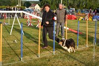 010 AGILITY HERMES -IRVAN -2535 : 2016, 25 Septembre 2016, AGILITY HERMES, Catégorie B, Dossard 45, IRVAN