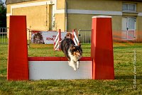 012 AGILITY HERMES -IRVAN -2537 : 2016, 25 Septembre 2016, AGILITY HERMES, Catégorie B, Dossard 45, IRVAN