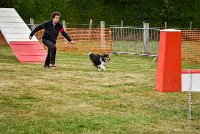 015 AGILITY HERMES -IRVAN -4177 : 2016, 25 Septembre 2016, 2ème degré, AGILITY HERMES, IRVAN, dossard  45