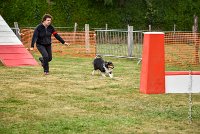 016 AGILITY HERMES -IRVAN -4178 : 2016, 25 Septembre 2016, 2ème degré, AGILITY HERMES, IRVAN, dossard  45