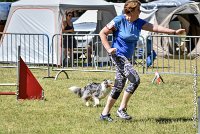 016 ELFY BLUE TENTATION -17062017-ATE 5199AGILITY 2 : 17 JUIN 2017, 2017, AGILITY 2, AGILITY L'ISLE ADAM 2017, CAT.A, D04, ELFY BLUE TENTATION