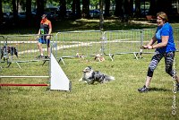 022 ELFY BLUE TENTATION -17062017-ATE 5207AGILITY 2 : 17 JUIN 2017, 2017, AGILITY 2, AGILITY L'ISLE ADAM 2017, CAT.A, D04, ELFY BLUE TENTATION