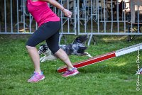 010AGI L ISLE ADAM - HANOUCK-17062017-ATE 4270Epreuve ouverte : 17 JUIN 2017, 2017, AGILITY L'ISLE ADAM 2017, CAT.A, D14, EPREUVE OUVERTE, HANOUCK