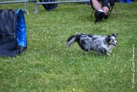 011AGI L ISLE ADAM - HANOUCK-17062017-ATE 4273Epreuve ouverte : 17 JUIN 2017, 2017, AGILITY L'ISLE ADAM 2017, CAT.A, D14, EPREUVE OUVERTE, HANOUCK