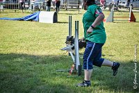 004 HAPPIE -17062017-ATE 4153Epreuve ouverte : 17 JUIN 2017, 2017, AGILITY L'ISLE ADAM 2017, CAT.A, D07, EPREUVE OUVERTE, HAPPIE