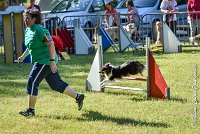 005 HAPPIE -17062017-ATE 4154Epreuve ouverte : 17 JUIN 2017, 2017, AGILITY L'ISLE ADAM 2017, CAT.A, D07, EPREUVE OUVERTE, HAPPIE