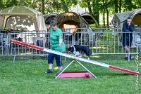 008 HAPPIE -17062017-ATE 4157Epreuve ouverte : 17 JUIN 2017, 2017, AGILITY L'ISLE ADAM 2017, CAT.A, D07, EPREUVE OUVERTE, HAPPIE