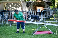 009 HAPPIE -17062017-ATE 4159Epreuve ouverte : 17 JUIN 2017, 2017, AGILITY L'ISLE ADAM 2017, CAT.A, D07, EPREUVE OUVERTE, HAPPIE