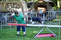 010 HAPPIE -17062017-ATE 4160Epreuve ouverte : 17 JUIN 2017, 2017, AGILITY L'ISLE ADAM 2017, CAT.A, D07, EPREUVE OUVERTE, HAPPIE