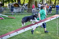 016 HAPPIE -17062017-ATE 4166Epreuve ouverte : 17 JUIN 2017, 2017, AGILITY L'ISLE ADAM 2017, CAT.A, D07, EPREUVE OUVERTE, HAPPIE