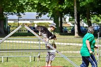 018 HAPPIE -17062017-ATE 5141AGILITY 2 : 17 JUIN 2017, 2017, AGILITY 2, AGILITY L'ISLE ADAM 2017, CAT.A, D08, HAPPIE