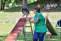 020 HAPPIE -17062017-ATE 5144AGILITY 2 : 17 JUIN 2017, 2017, AGILITY 2, AGILITY L'ISLE ADAM 2017, CAT.A, D08, HAPPIE