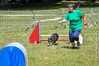 025 HAPPIE -17062017-ATE 5150AGILITY 2 : 17 JUIN 2017, 2017, AGILITY 2, AGILITY L'ISLE ADAM 2017, CAT.A, D08, HAPPIE