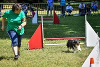 027 HAPPIE -17062017-ATE 5152AGILITY 2 : 17 JUIN 2017, 2017, AGILITY 2, AGILITY L'ISLE ADAM 2017, CAT.A, D08, HAPPIE