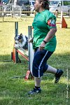 007 HOBY -17062017-ATE 3946Epreuve ouverte : 17 JUIN 2017, 2017, AGILITY L'ISLE ADAM 2017, CAT.B, D23, EPREUVE OUVERTE, HOBI