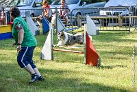 008 HOBY -17062017-ATE 3947Epreuve ouverte : 17 JUIN 2017, 2017, AGILITY L'ISLE ADAM 2017, CAT.B, D23, EPREUVE OUVERTE, HOBI