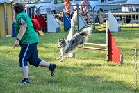 009 HOBY -17062017-ATE 3948Epreuve ouverte : 17 JUIN 2017, 2017, AGILITY L'ISLE ADAM 2017, CAT.B, D23, EPREUVE OUVERTE, HOBI