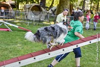 016 HOBY -17062017-ATE 3957Epreuve ouverte : 17 JUIN 2017, 2017, AGILITY L'ISLE ADAM 2017, CAT.B, D23, EPREUVE OUVERTE, HOBI