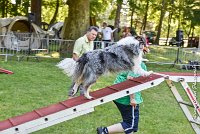 017 HOBY -17062017-ATE 3958Epreuve ouverte : 17 JUIN 2017, 2017, AGILITY L'ISLE ADAM 2017, CAT.B, D23, EPREUVE OUVERTE, HOBI