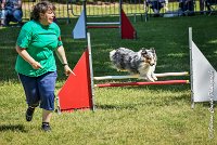 033 HOBY -17062017-ATE 5075AGILITY 2-Modifier : 17 JUIN 2017, 2017, AGILITY 2, AGILITY L'ISLE ADAM 2017, CAT.B, D23, HOBI