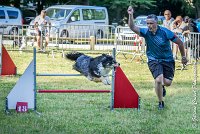 003 ISKA -17062017-ATE 3251Epreuve ouverte -Modifier : 17 JUIN 2017, 2017, AGILITY L'ISLE ADAM 2017, CAT.C, D43, EPREUVE OUVERTE, ISKA L'EUSKALDUNA