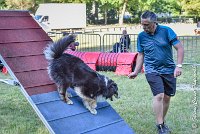 005 ISKA -17062017-ATE 3254Epreuve ouverte : 17 JUIN 2017, 2017, AGILITY L'ISLE ADAM 2017, CAT.C, D43, EPREUVE OUVERTE, ISKA L'EUSKALDUNA