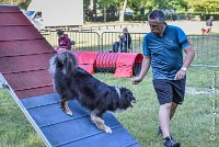 006 ISKA -17062017-ATE 3255Epreuve ouverte : 17 JUIN 2017, 2017, AGILITY L'ISLE ADAM 2017, CAT.C, D43, EPREUVE OUVERTE, ISKA L'EUSKALDUNA