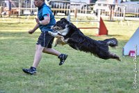 007 ISKA -17062017-ATE 3258Epreuve ouverte : 17 JUIN 2017, 2017, AGILITY L'ISLE ADAM 2017, CAT.C, D43, EPREUVE OUVERTE, ISKA L'EUSKALDUNA