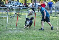 008 ISKA -17062017-ATE 3261Epreuve ouverte : 17 JUIN 2017, 2017, AGILITY L'ISLE ADAM 2017, CAT.C, D43, EPREUVE OUVERTE, ISKA L'EUSKALDUNA