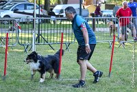 010 ISKA -17062017-ATE 3263Epreuve ouverte -Modifier : 17 JUIN 2017, 2017, AGILITY L'ISLE ADAM 2017, CAT.C, D43, EPREUVE OUVERTE, ISKA L'EUSKALDUNA