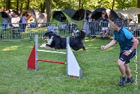 011 ISKA -17062017-ATE 3264Epreuve ouverte : 17 JUIN 2017, 2017, AGILITY L'ISLE ADAM 2017, CAT.C, D43, EPREUVE OUVERTE, ISKA L'EUSKALDUNA