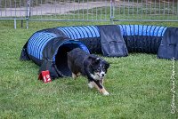 012 ISKA -17062017-ATE 3265Epreuve ouverte : 17 JUIN 2017, 2017, AGILITY L'ISLE ADAM 2017, CAT.C, D43, EPREUVE OUVERTE, ISKA L'EUSKALDUNA