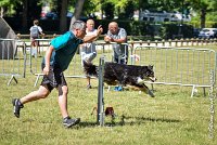 014 ISKA -17062017-ATE 4920AGILITY 2 : 17 JUIN 2017, 2017, AGILITY 2, AGILITY L'ISLE ADAM 2017, CAT.C, D43, ISKA L'EUSKALDUNA