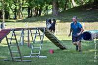 018 ISKA -17062017-ATE 4923AGILITY 2 : 17 JUIN 2017, 2017, AGILITY 2, AGILITY L'ISLE ADAM 2017, CAT.C, D43, ISKA L'EUSKALDUNA